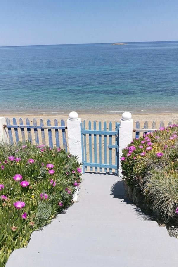 Anemos Seaside House Vila Skyros Exterior foto